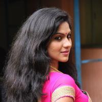 Swasika at Panduvam Movie Interview Photos | Picture 860838