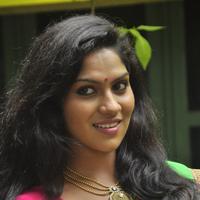 Swasika at Panduvam Movie Interview Photos | Picture 860861