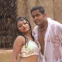 MGR Sivaji Rajini Kamal Movie Hot Stills | Picture 839784