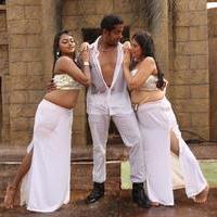 MGR Sivaji Rajini Kamal Movie Hot Stills | Picture 839786