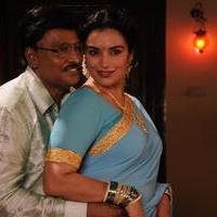 Thunai Mudhalvar Movie Hot Stills | Picture 855625