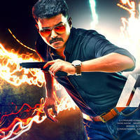 Vijay Theri Movie HQ Posters | Picture 1167802