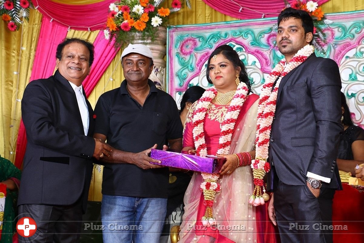 Actor Vasu Vikram Daughter Vasugi Wedding Reception Photos | Picture 1435481