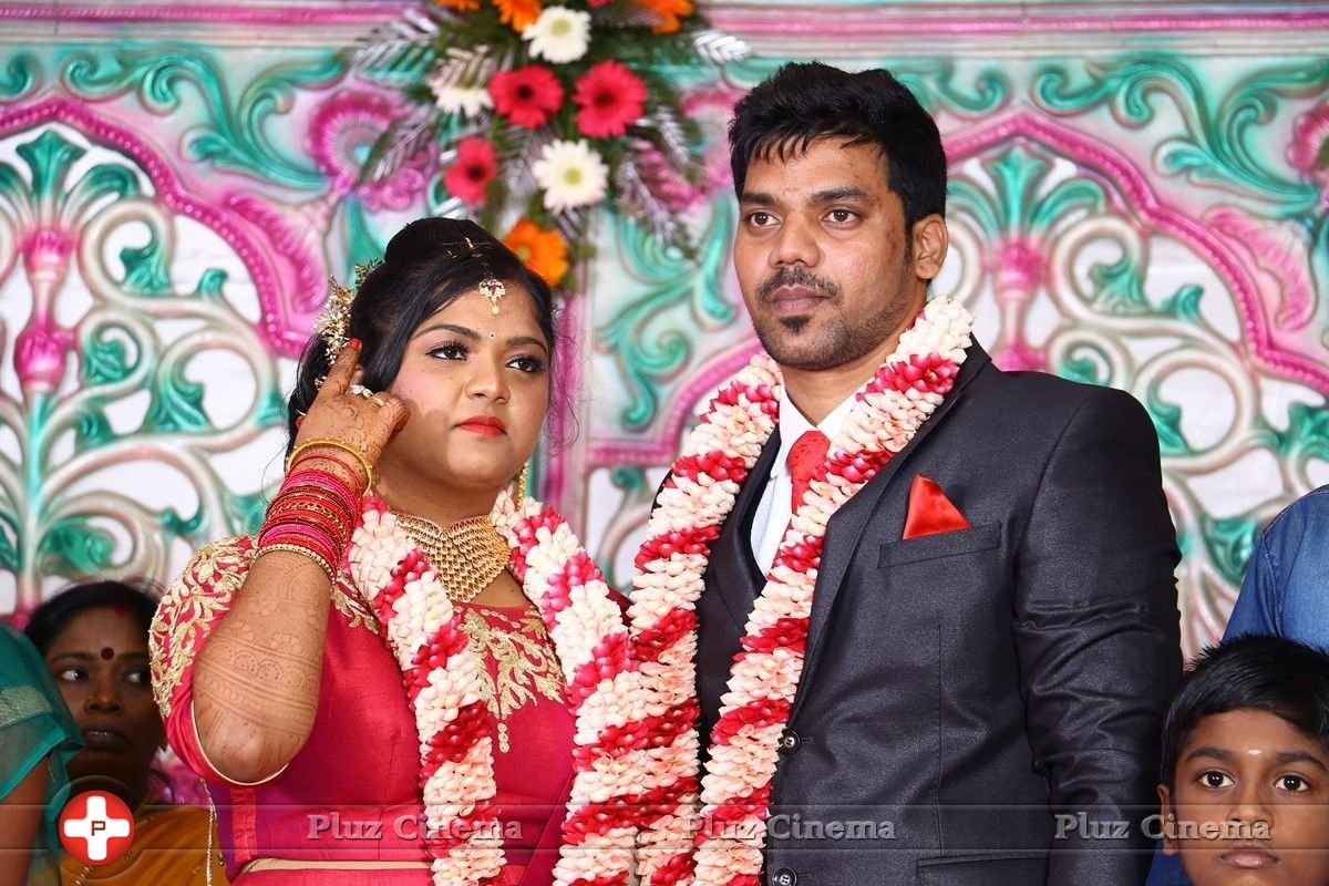 Actor Vasu Vikram Daughter Vasugi Wedding Reception Photos | Picture 1435490