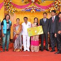 Producer TR Selvam Daughter Kiruthika Wedding Photos | Picture 1438564