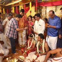 Producer TR Selvam Daughter Kiruthika Wedding Photos | Picture 1438568