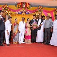 Producer TR Selvam Daughter Kiruthika Wedding Photos | Picture 1438551