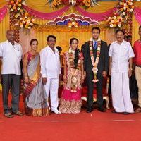 Producer TR Selvam Daughter Kiruthika Wedding Photos | Picture 1438543