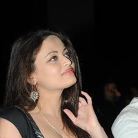 Sneha Ullal at Crisent Cricket Cup 2013 Launch Photos | Picture 632423