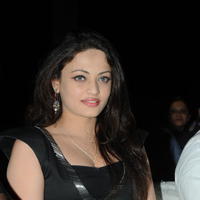 Sneha Ullal at Crisent Cricket Cup 2013 Launch Photos | Picture 632433