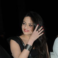 Sneha Ullal at Crisent Cricket Cup 2013 Launch Photos | Picture 632444