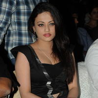 Sneha Ullal at Crisent Cricket Cup 2013 Launch Photos | Picture 632453