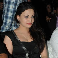 Sneha Ullal at Crisent Cricket Cup 2013 Launch Photos | Picture 632458