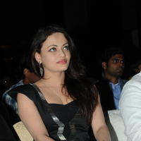 Sneha Ullal at Crisent Cricket Cup 2013 Launch Photos | Picture 632471