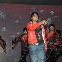 Bunny N Cherry Audio Launch Function Photos | Picture 641064