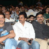Bunny N Cherry Audio Launch Function Photos | Picture 641068