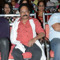 Bunny N Cherry Audio Launch Function Photos | Picture 641073