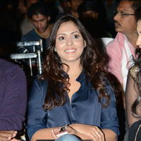 Bunny N Cherry Audio Launch Function Photos | Picture 641113