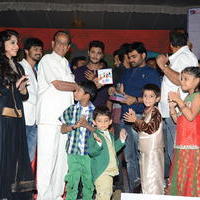 Bunny N Cherry Audio Launch Function Photos | Picture 641337