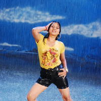 Baja Bhajantreelu Movie Hot Stills | Picture 598459