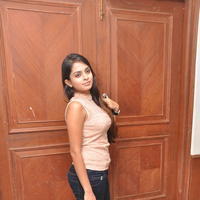 Sheena Shahabadi at Nuvve Naa Bangaram First Look Release Photos | Picture 599442