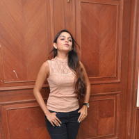 Sheena Shahabadi at Nuvve Naa Bangaram First Look Release Photos | Picture 599443