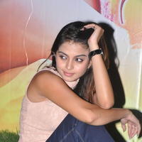 Sheena Shahabadi at Nuvve Naa Bangaram First Look Release Photos | Picture 599464