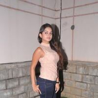 Sheena Shahabadi at Nuvve Naa Bangaram First Look Release Photos | Picture 599478