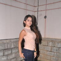 Sheena Shahabadi at Nuvve Naa Bangaram First Look Release Photos | Picture 599479
