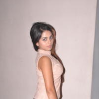 Sheena Shahabadi at Nuvve Naa Bangaram First Look Release Photos | Picture 599482