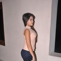 Sheena Shahabadi at Nuvve Naa Bangaram First Look Release Photos | Picture 599484