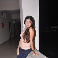 Sheena Shahabadi at Nuvve Naa Bangaram First Look Release Photos | Picture 599486