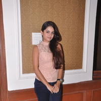 Sheena Shahabadi at Nuvve Naa Bangaram First Look Release Photos | Picture 599495