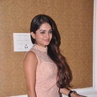 Sheena Shahabadi at Nuvve Naa Bangaram First Look Release Photos | Picture 599499