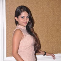 Sheena Shahabadi at Nuvve Naa Bangaram First Look Release Photos | Picture 599501