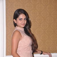 Sheena Shahabadi at Nuvve Naa Bangaram First Look Release Photos | Picture 599502
