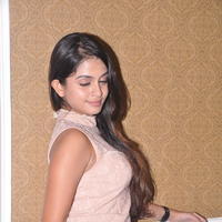 Sheena Shahabadi at Nuvve Naa Bangaram First Look Release Photos | Picture 599504