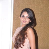 Sheena Shahabadi at Nuvve Naa Bangaram First Look Release Photos | Picture 599507