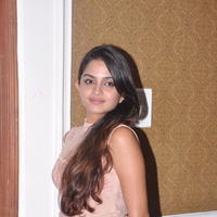 Sheena Shahabadi at Nuvve Naa Bangaram First Look Release Photos | Picture 599508