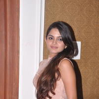 Sheena Shahabadi at Nuvve Naa Bangaram First Look Release Photos | Picture 599509