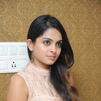Sheena Shahabadi at Nuvve Naa Bangaram First Look Release Photos | Picture 599510