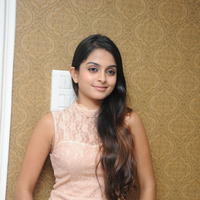 Sheena Shahabadi at Nuvve Naa Bangaram First Look Release Photos | Picture 599518