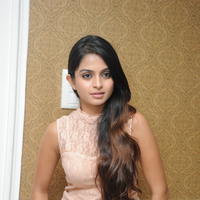 Sheena Shahabadi at Nuvve Naa Bangaram First Look Release Photos | Picture 599520