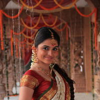 Sheena Shahabadi Saree Photos | Picture 607301