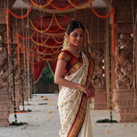 Sheena Shahabadi Saree Photos | Picture 607325