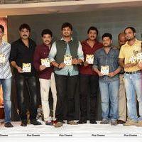 Jagame Maya Audio Launch Function Photos | Picture 570789