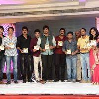 Jagame Maya Audio Launch Function Photos | Picture 570790