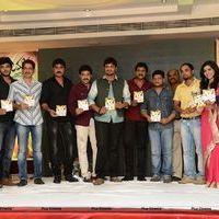 Jagame Maya Audio Launch Function Photos | Picture 570791