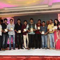 Jagame Maya Audio Launch Function Photos | Picture 570793