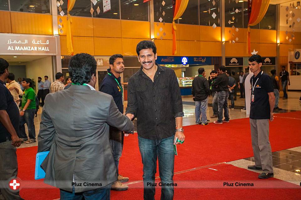 Celebs at SIIMA Awards 2013 Photos | Picture 571743